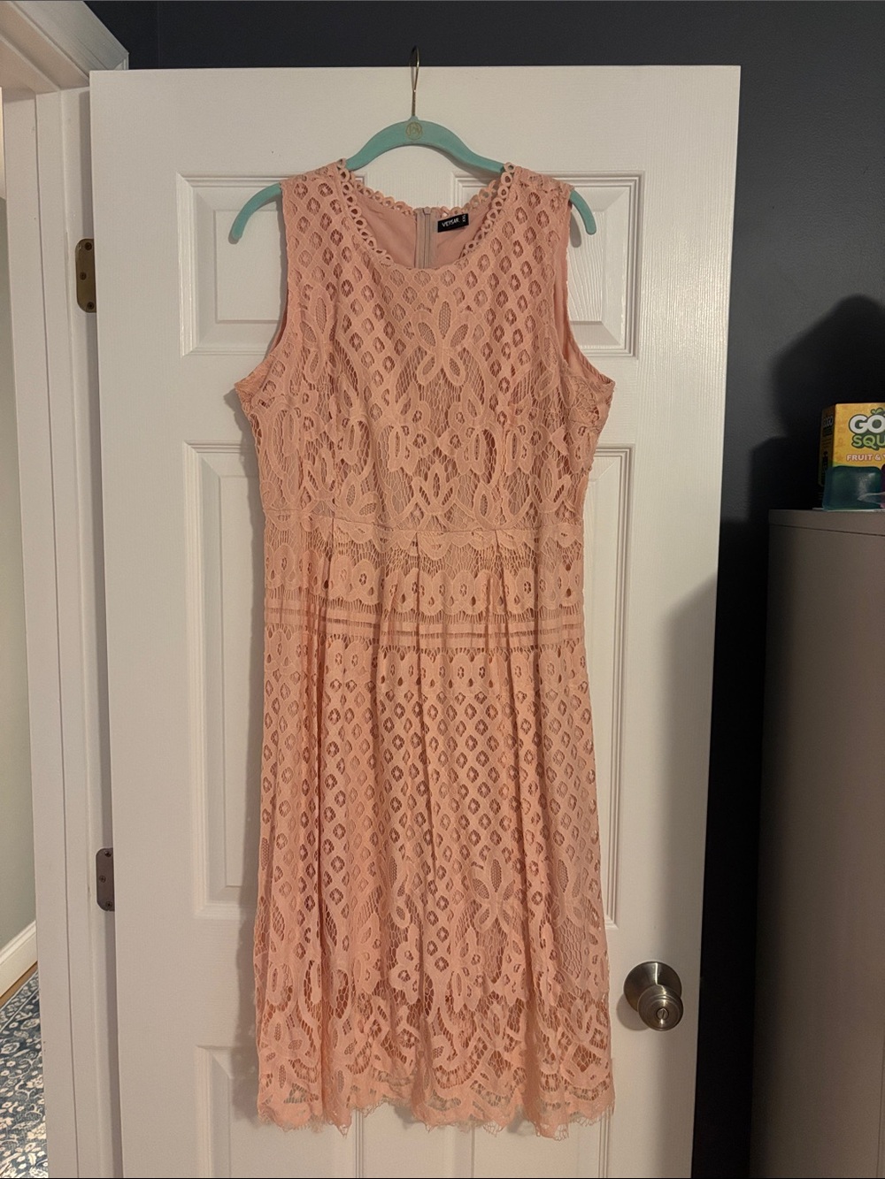 Sleeveless Lace Fit & Flare Dress - Blush Pink